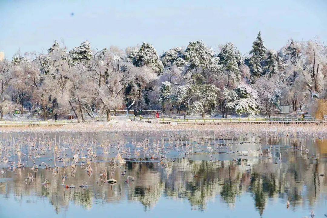 南湖公園長春各景區的雪景更是美出了新高度!