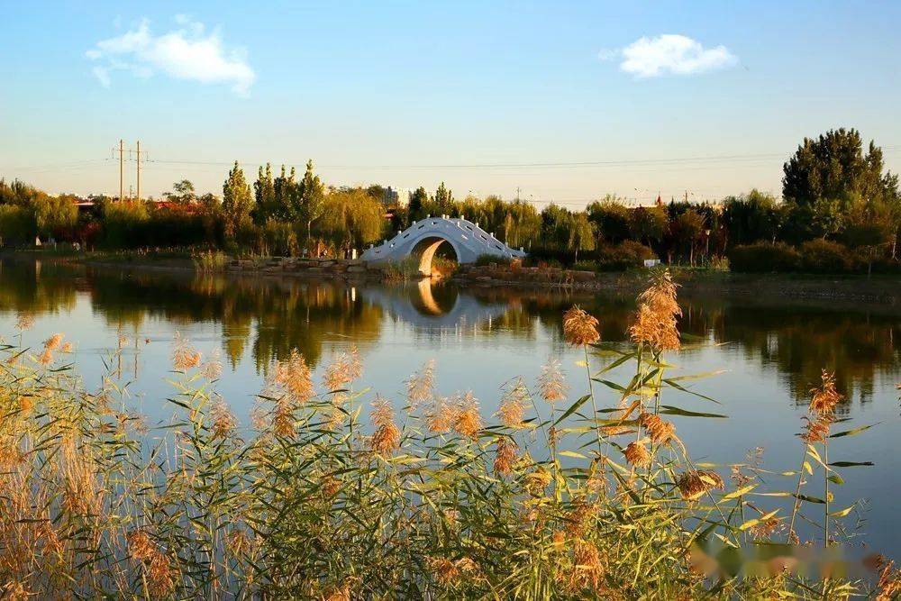 谁不说俺家乡好-任丘金秋美如画_公园