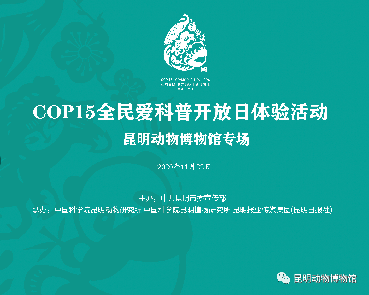 cop15主题图片