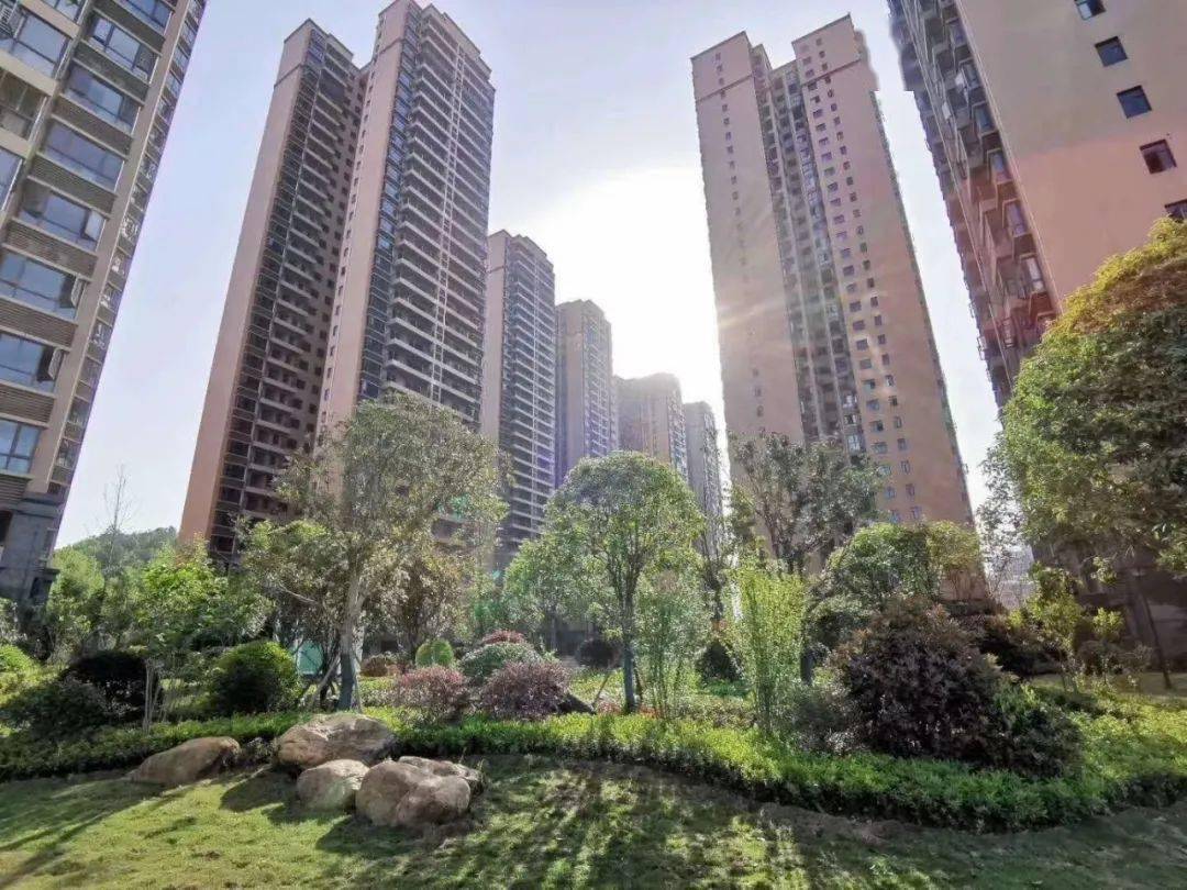 紫金湾全民摄影大赛万元现金大奖花落谁家