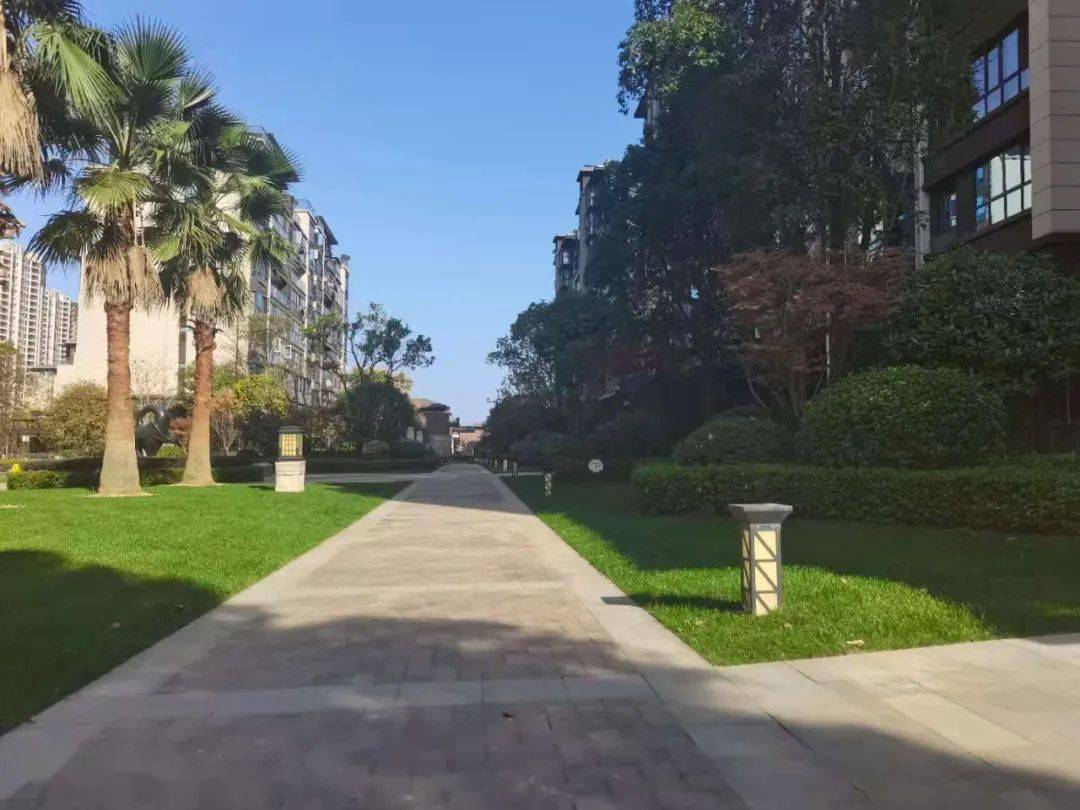 港中旅公元园林升级改造家园焕新颜