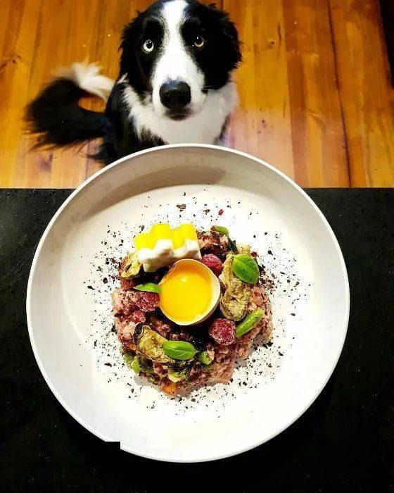 小哥每年花3万给狗狗做营养餐这画风米其林级别的狗粮