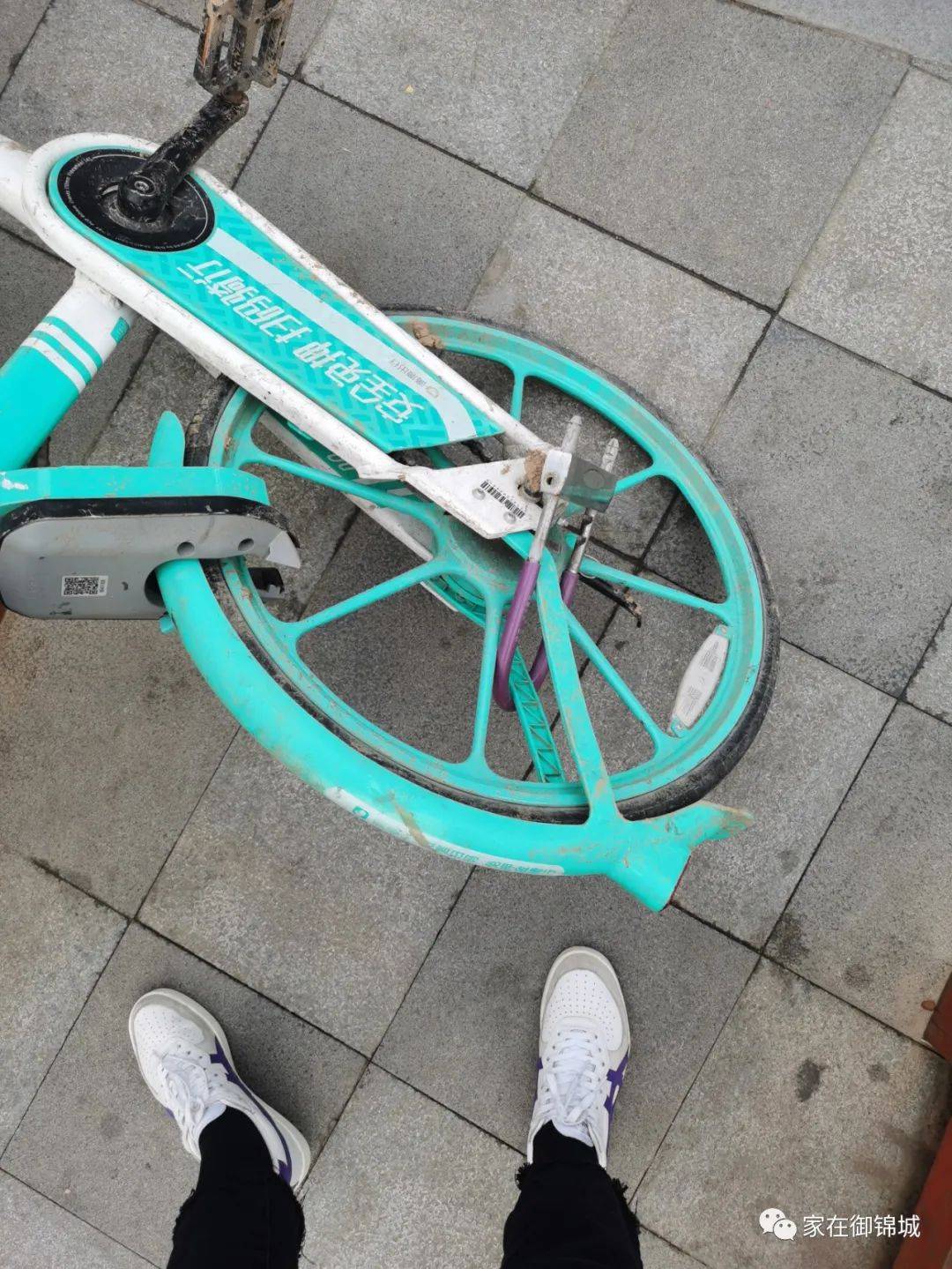 咱御锦城微信昵称为"l**"的业主留言反馈:11月20日早上想骑单车上班.