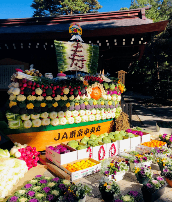 它并不是西方国家的感恩节,而是源自日本古代的"新尝祭".