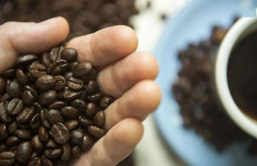 缅甸咖啡出口法国