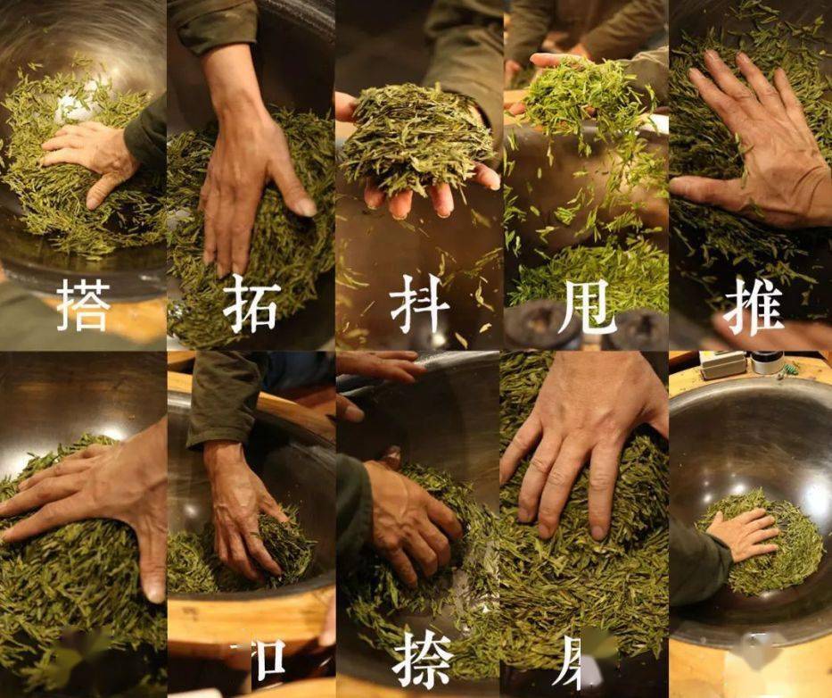 高品质的西湖龙井,是凭着炒茶师傅的一双手,在铁锅中不断的用"抖,搭