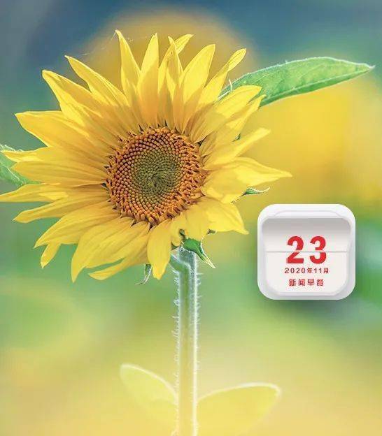 早安固原2020年11月23日星期一
