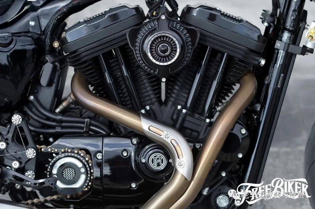 哈雷xl1200改装作品欣赏