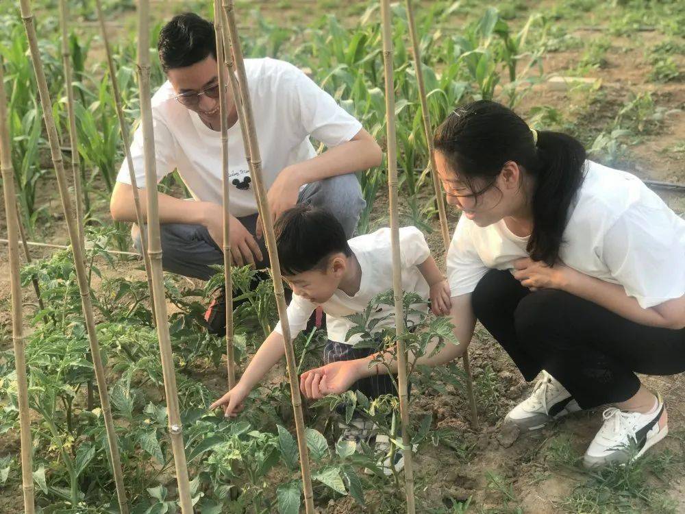 (一)世幼开展亲子劳动的理念一,寓教于亲子劳动,构建经验,让心与自然