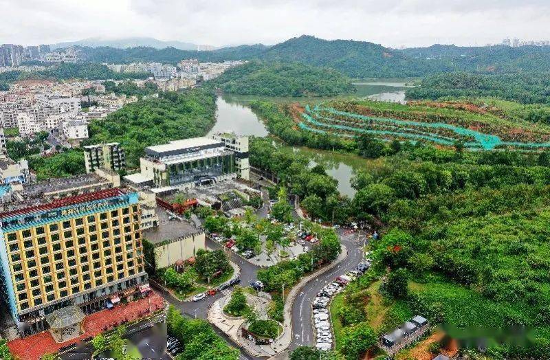 深圳这里发生大变化!历时近半年,实地探访发现._龙岭社区