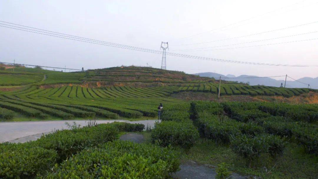 五中全会在基层长坝镇打造乡村振兴新示范