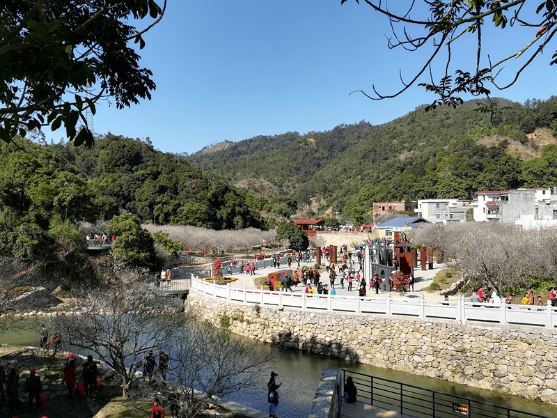 陆丰这个村,获国家级荣誉.