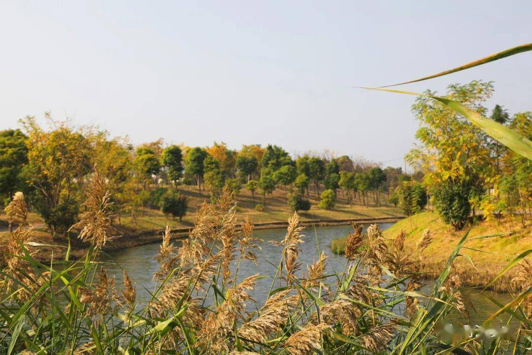 赏美月浦镜头邂逅月浦拥抱深秋