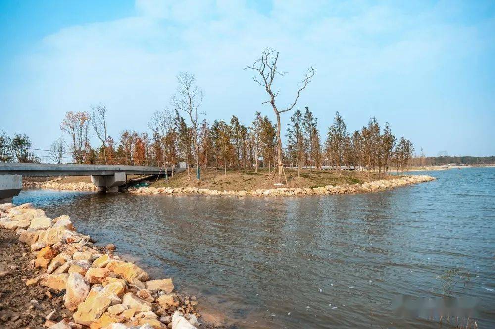 海安这个网红打卡景点将诞生_上湖