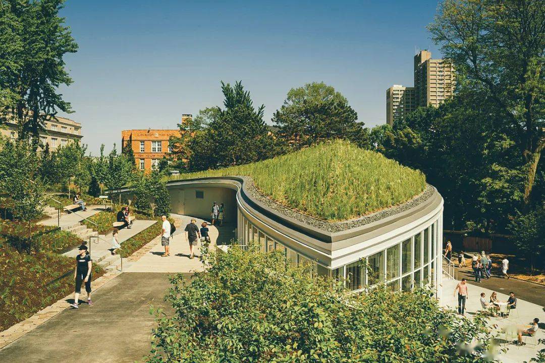 精品上植世界植物园赏析布鲁克林植物园