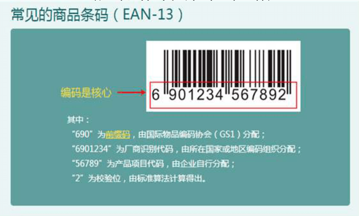 【附小大讲堂】神奇的数字编码——三年级数学大讲堂