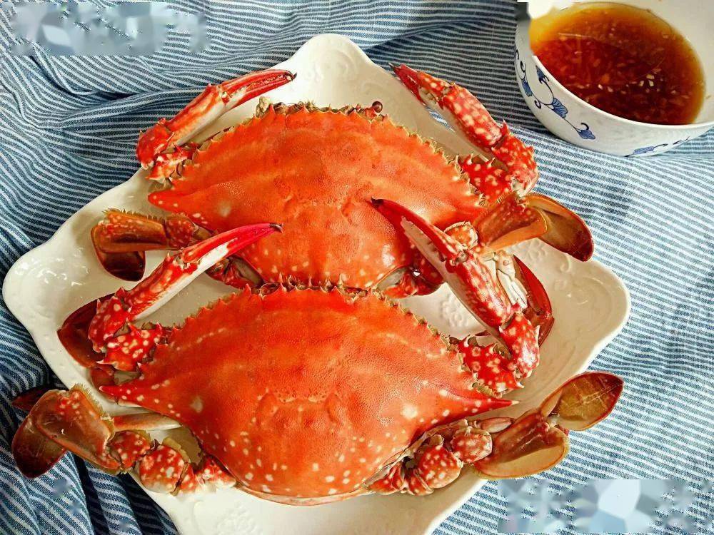 威海美食集承包你冬日的胃