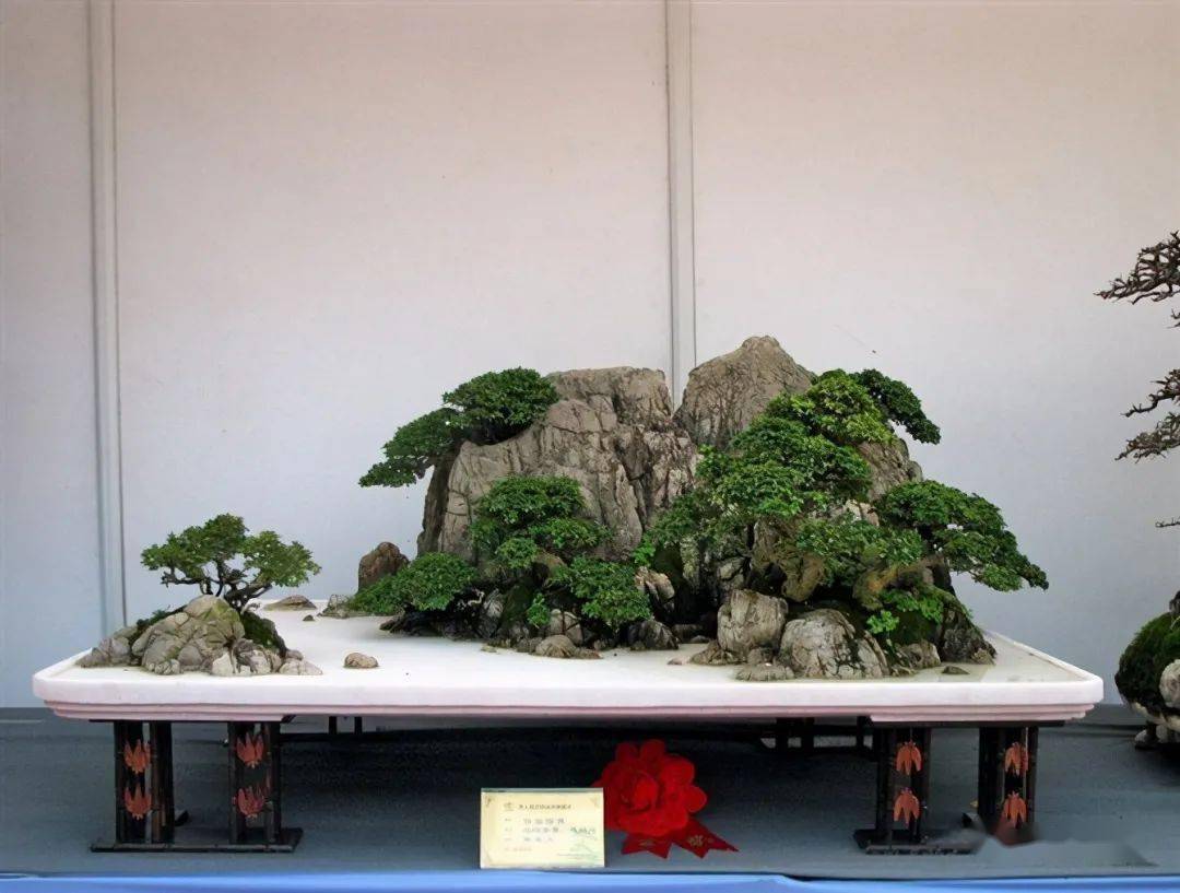 树木盆景的土石造型法