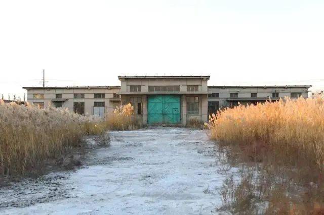 滨海监狱始建于1958年,前身是天津市港北监狱.