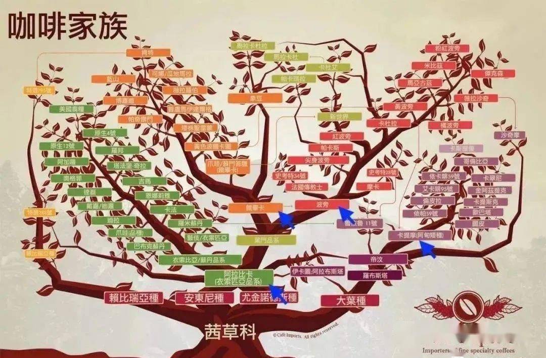 【趣味地理】非洲为何会成为咖啡的发源地?_种植