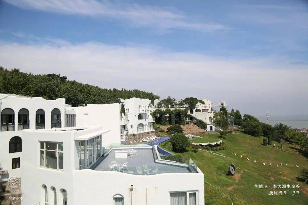 共建共享,全民健康丨紫苏×美地港·中国南太湖生命谷