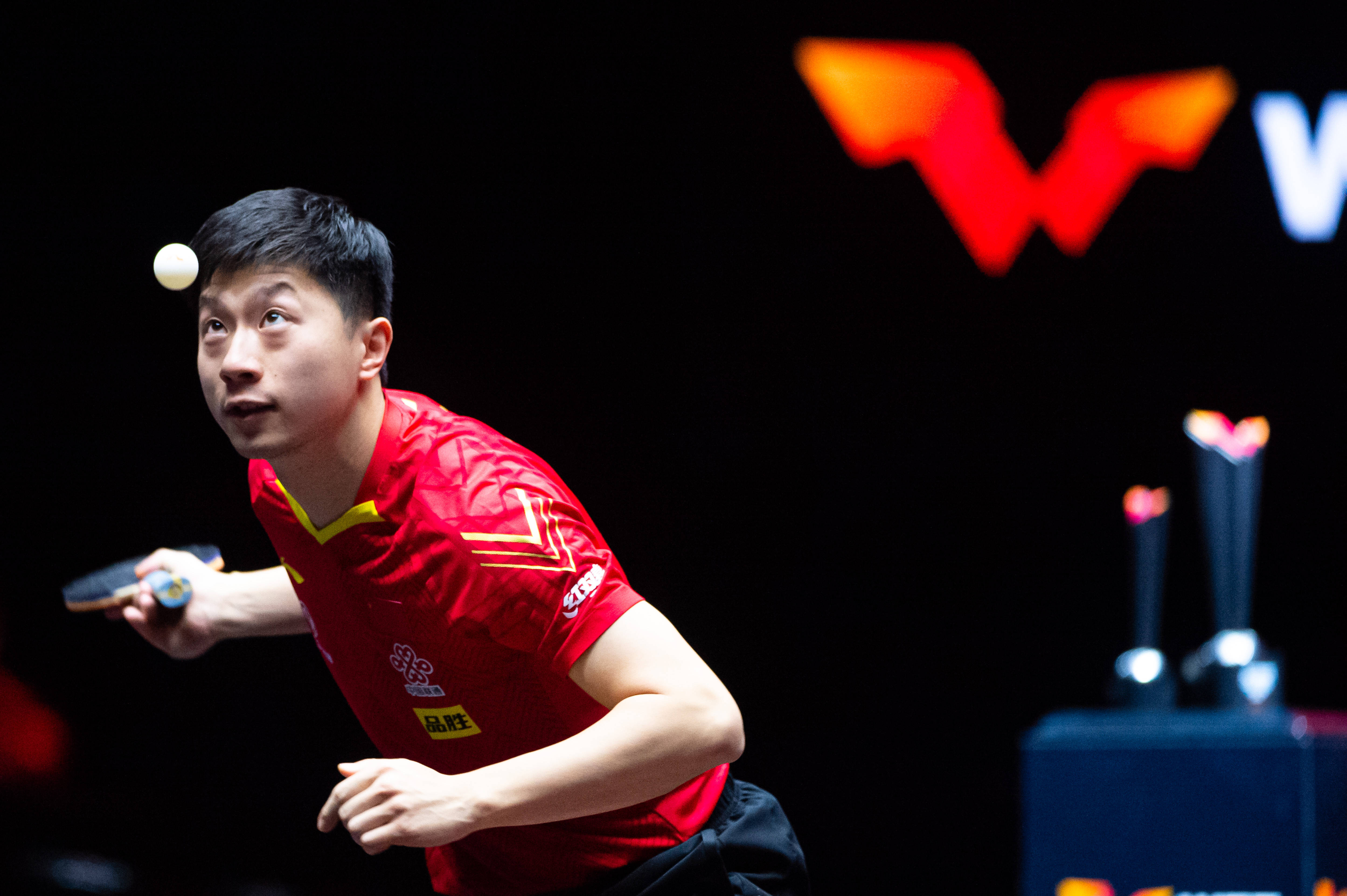 乒乓球wtt澳门国际赛马龙胜郑荣植