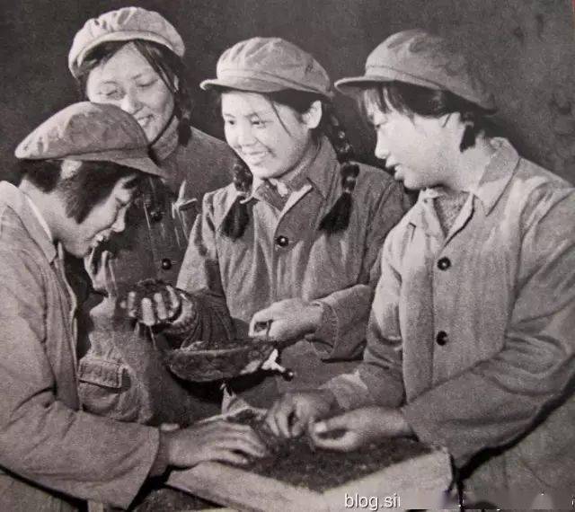 内蒙古知青们无伴奏合唱草原恋满满的回忆与感动太罕见了