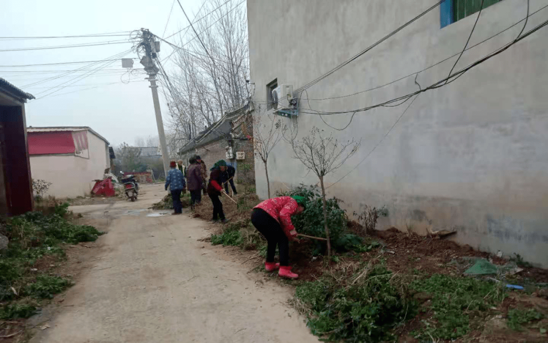 韩寨镇积极开展冬季农村人居环境整治工作_手机搜狐网