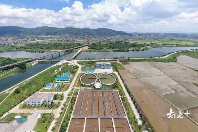 潮汕人必看练江的5年23张照片