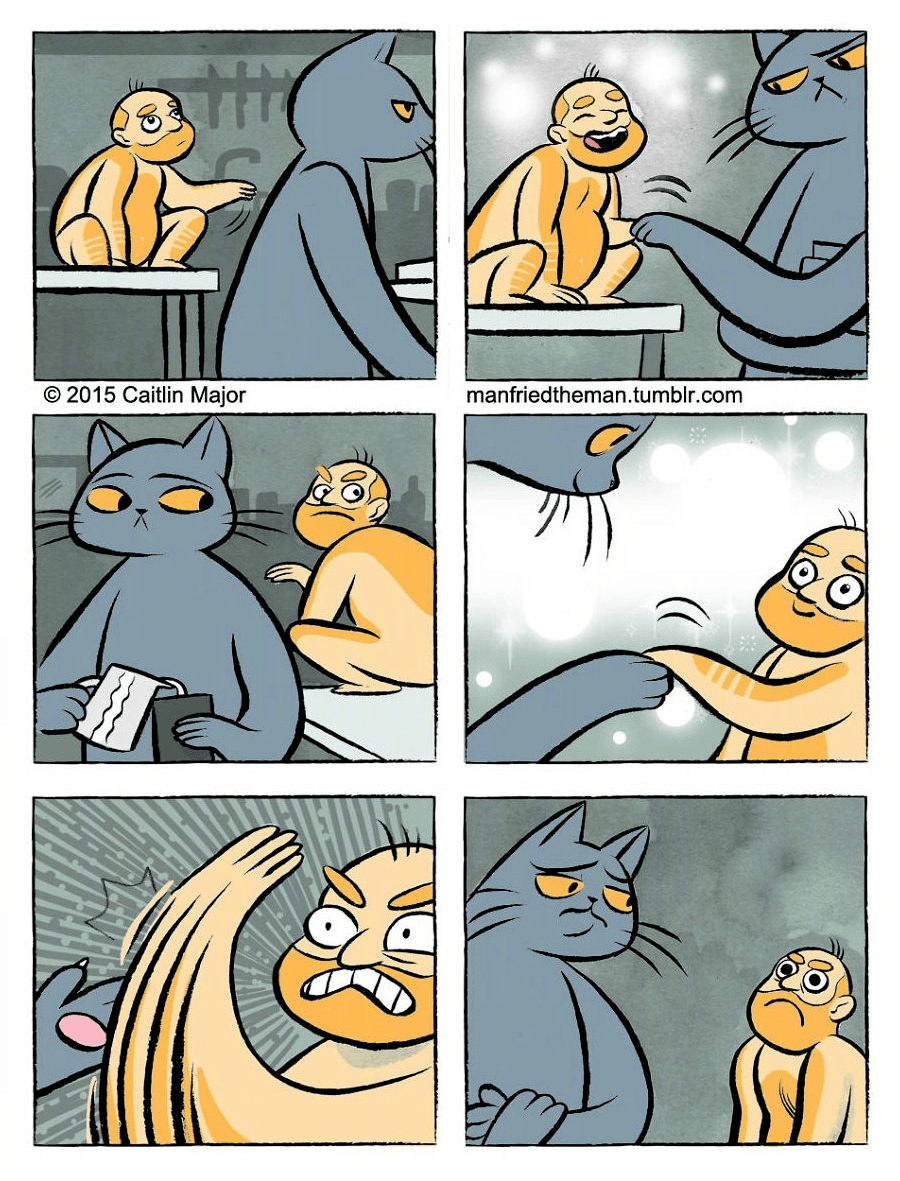 当猫和铲屎官互换人生后,猫:请让我原地狗带