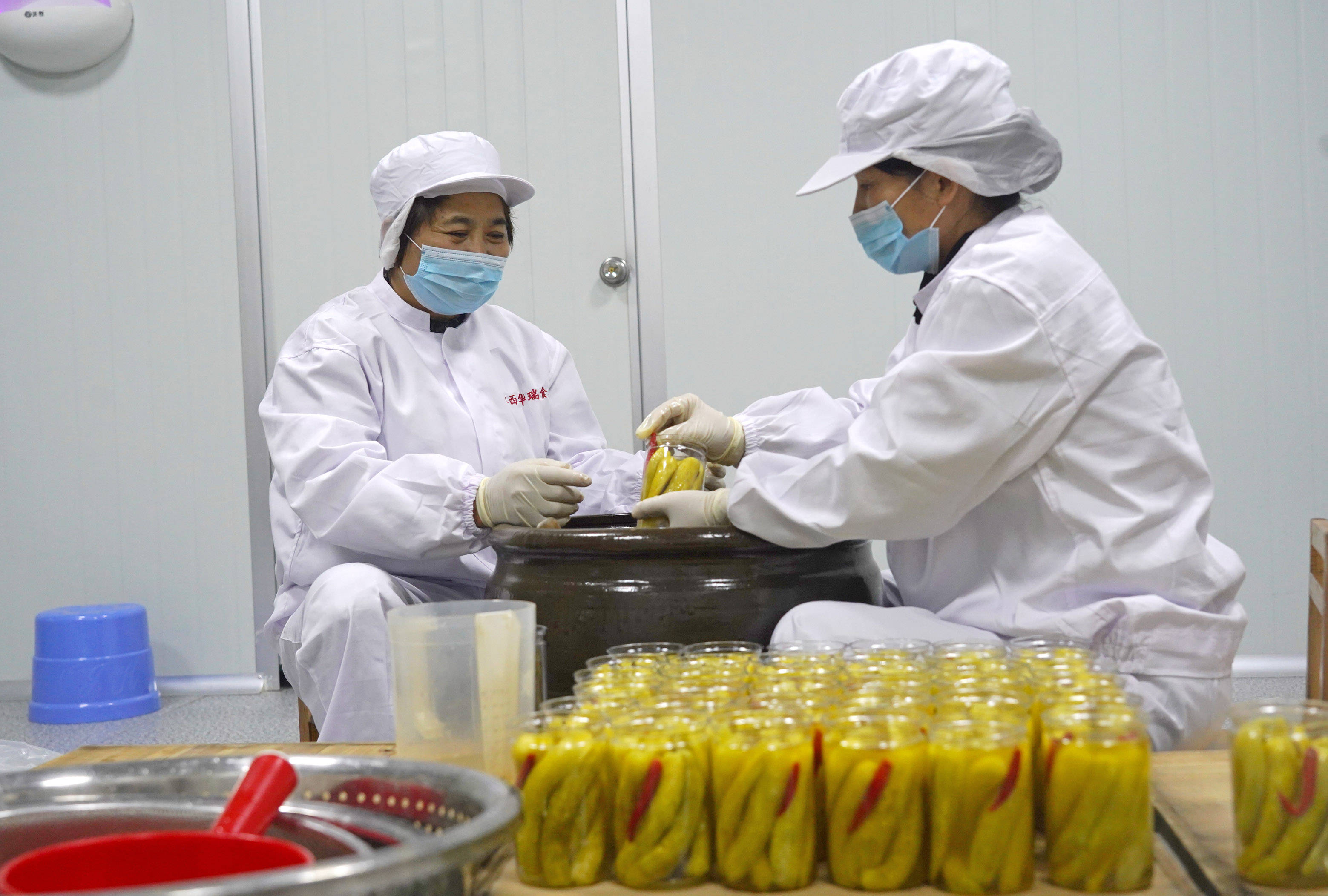 在位于江西省瑞金市的泡菜工坊里,华小英(左)在包装泡菜(11月24日摄).