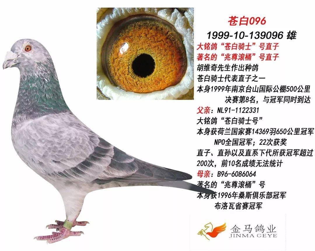 神秘种雄:苍白骑士!_兆尊