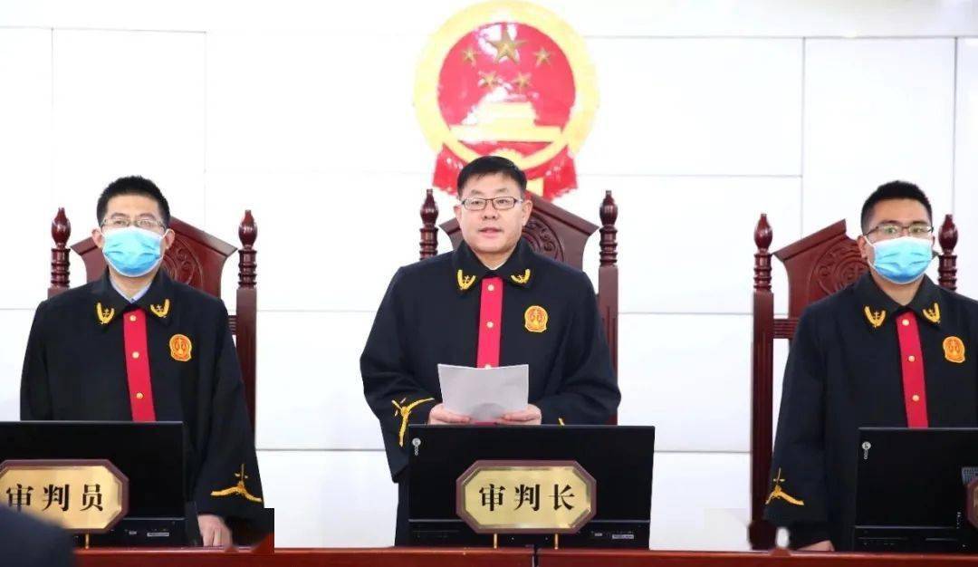 严惩不贷张跃等14人涉黑案件判决