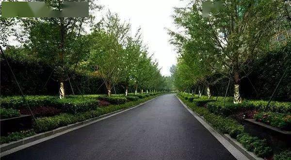 四大植物空间设计哲学,值得收藏_绿篱