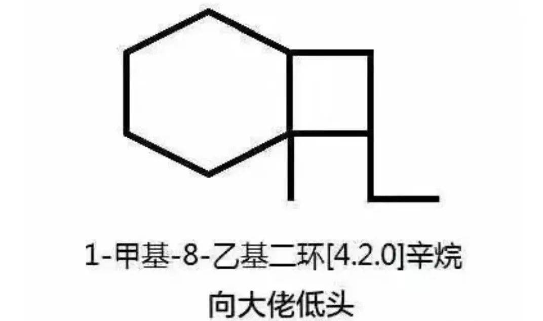 来看我的小书包