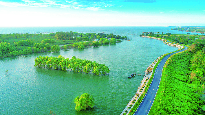 合肥,中国最宜居城市!全省仅2城_公园