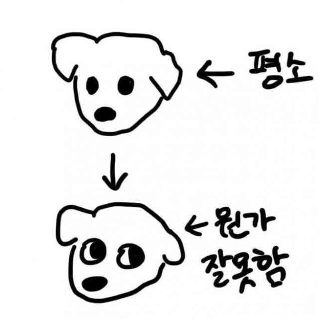 不小心剧透了专辑小卡所以看staff眼色的金钟仁