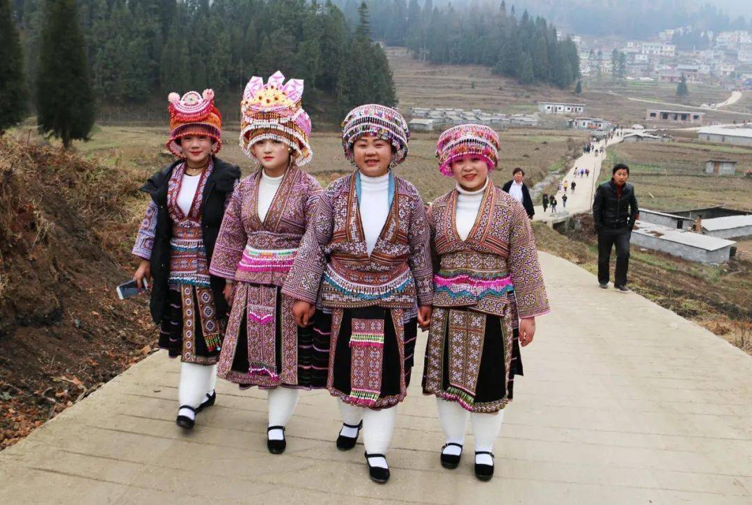 [十三五成就巡礼】纳雍县投入千万资金助推少数民族村寨经济社会发展