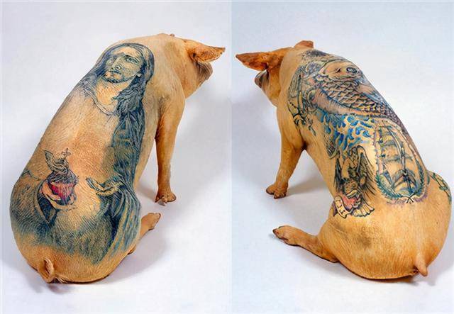 他给猪纹身被香奈儿买走做成限量版皮包花纹独特一个卖50万