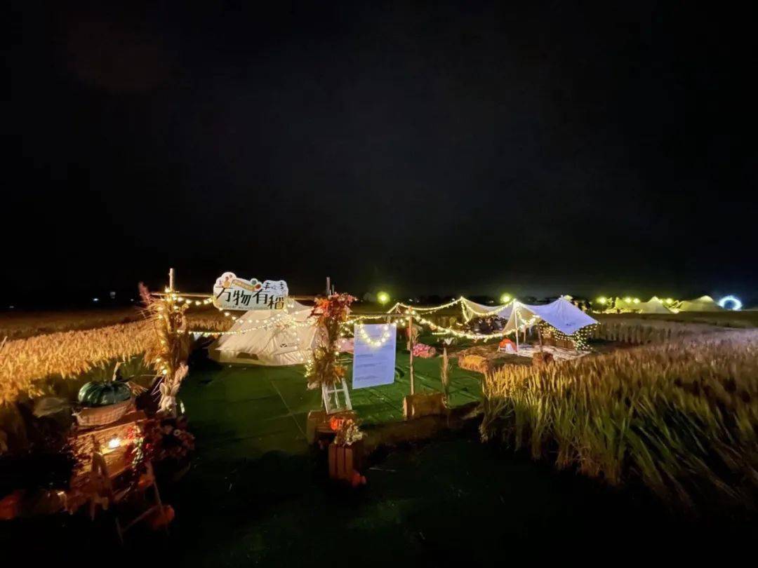 稻田里的野邻营地整个营地关注产品与自然生态文明建设的高质量融合