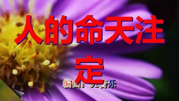 人的命天注定句句太现实但请继续自强不息你命由你不由天
