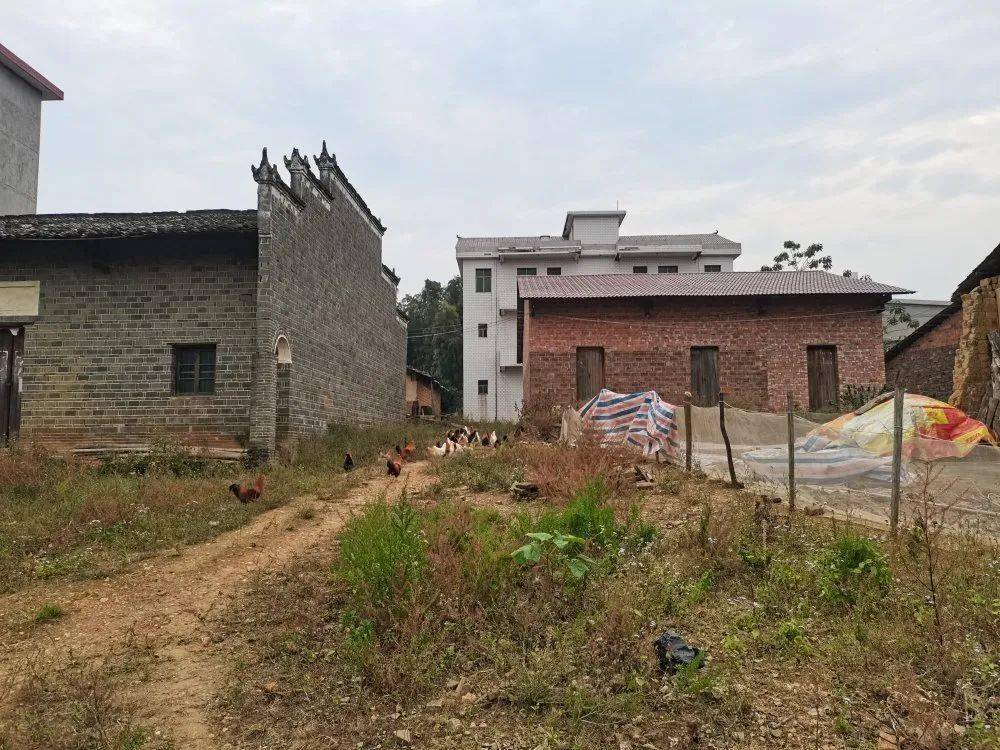 曝光台姚圩镇环境卫生脏乱差曝光第七期