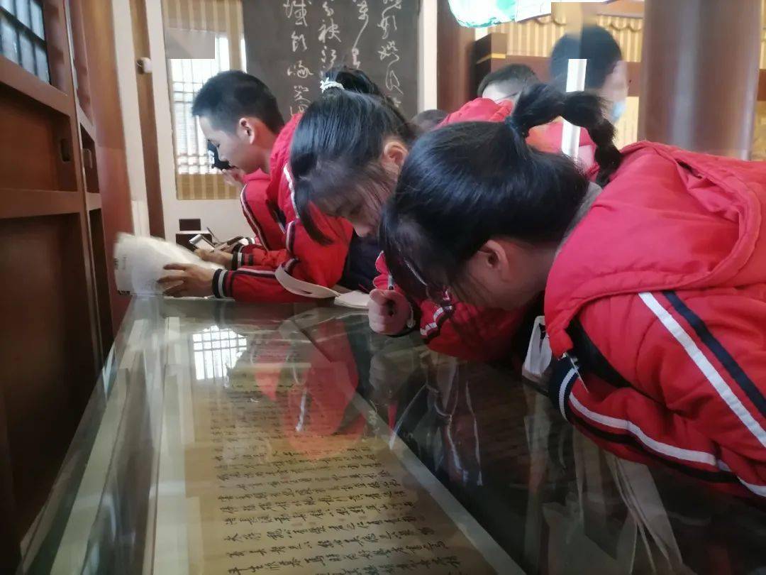 解锁森林密码和苏辙中学学子来场不一样的大自然之旅