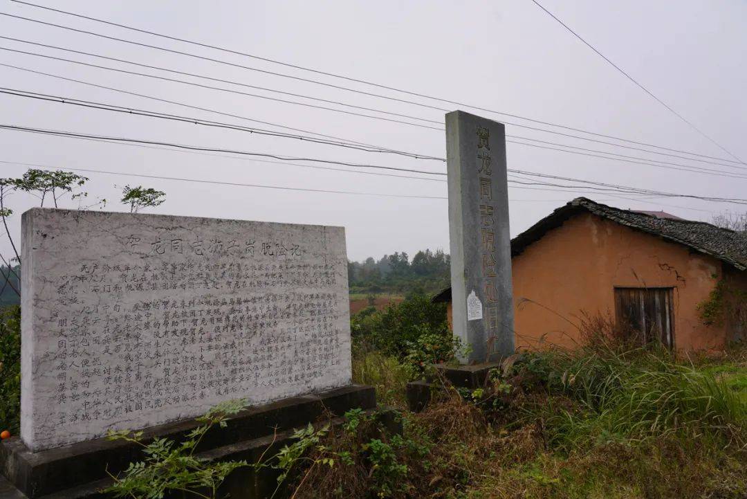 常德秘境:桃源马鬃岭,人杰地灵,山水如画,品富硒蜜桔,农家美味_覃振