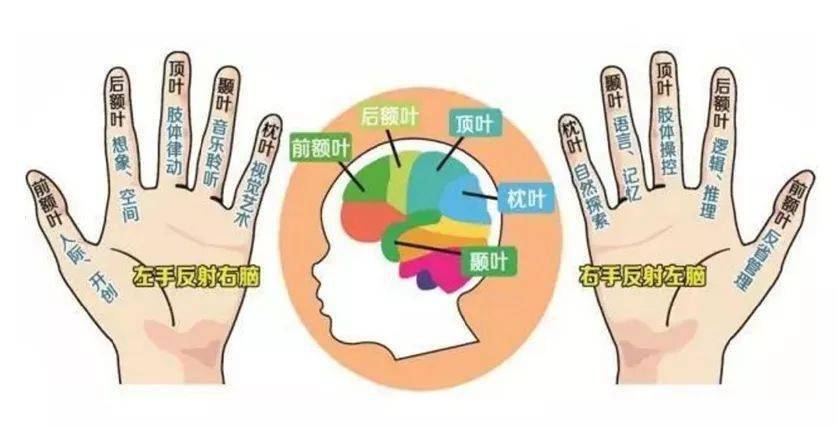 多元智能皮指纹测试-开启孩子智慧之钥-搜狐大视野-搜狐新闻