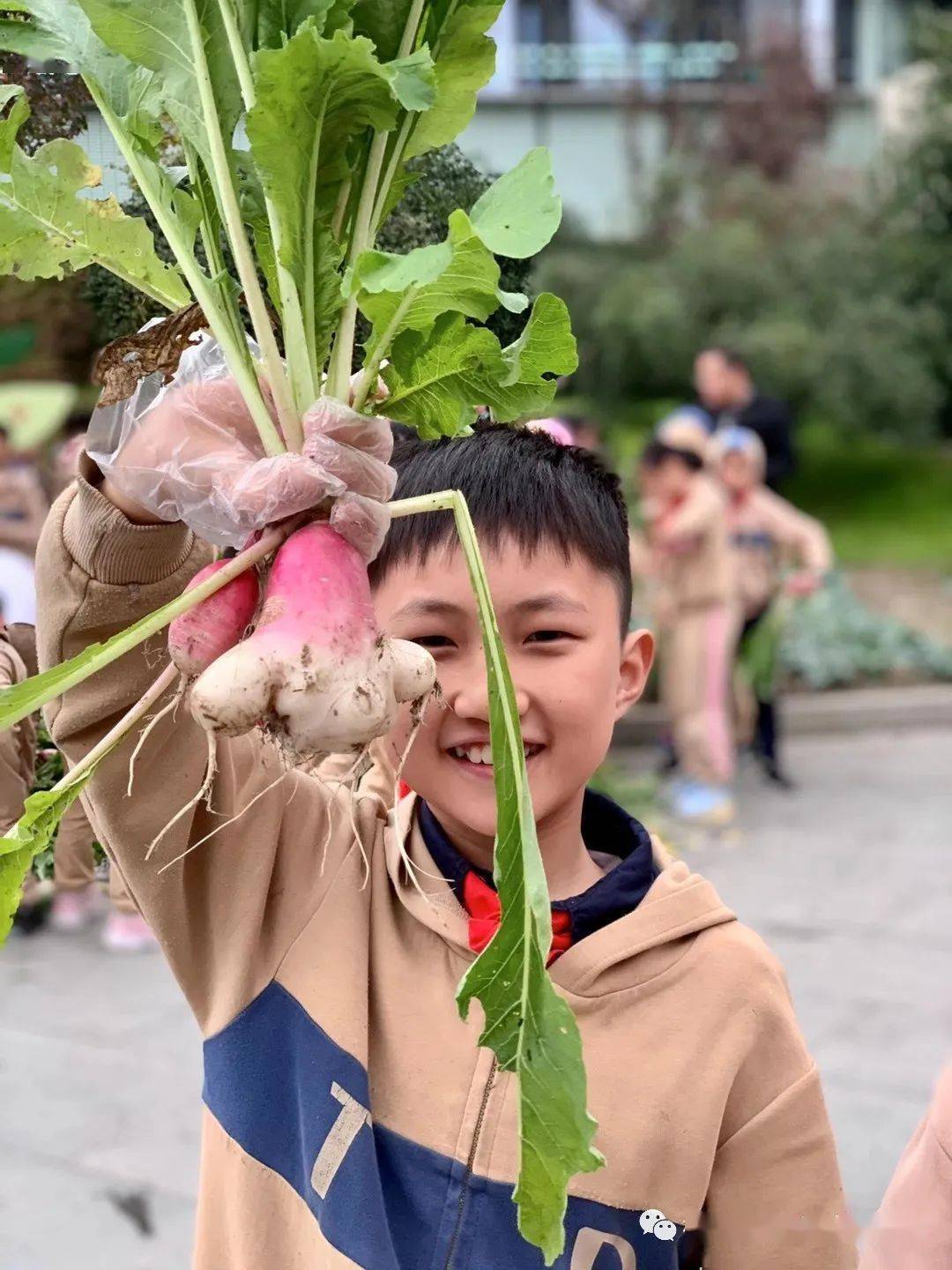 爱心义卖丨超乎想象的校园萝卜展销会