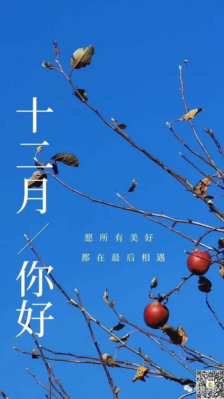 微海报 | 你好,十二月