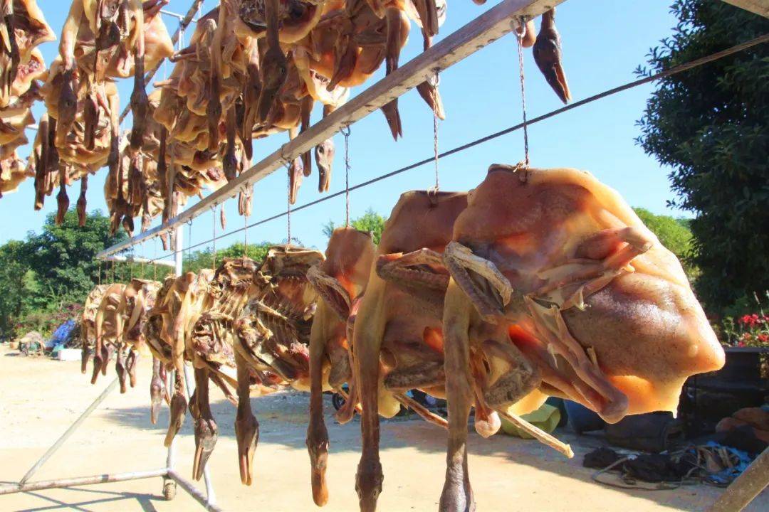 处处弥漫着腊鸭香气.