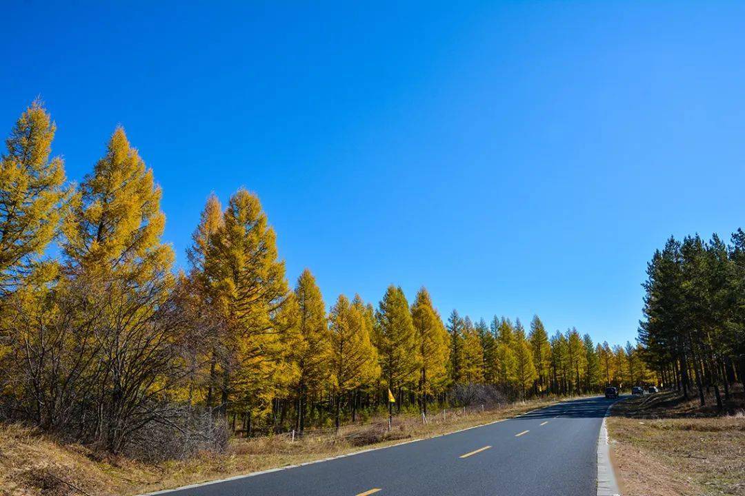 走停2020向北寻一抹秋色5