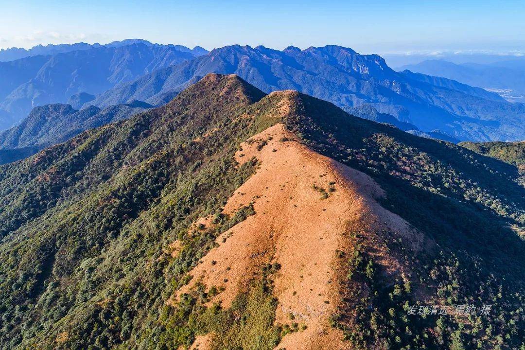 5小時登頂英德五郎嶂山頂隱藏著大面積金色大草坡